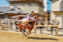 【お供馬走り込み 愛媛/今治市】 愛媛県無形民俗文化財、勇壮華麗な祭り行事
