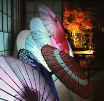 【愛媛の絶景】長建寺の紅葉ライトアップに行ってきた！幻想的な夜のリフレクション体験