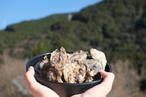 【牡蠣まつり】 マイントピア別子で味わう冬の贅沢！ 新鮮な海の幸を堪能しよう（愛媛/新居浜市）