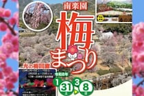【南楽園梅まつり2026 愛媛/宇和島市】約160本の紅白梅が咲き誇る！春を告げる日本庭園の絶景イベント