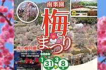 【南楽園梅まつり2026 愛媛/宇和島市】約160本の紅白梅が咲き誇る！春を告げる日本庭園の絶景イベント