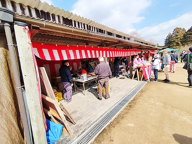 【第35回 七折梅まつり 愛媛/砥部町】 今年も七折梅まつりの季節が到来