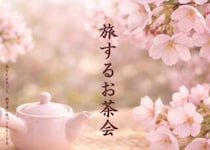 【旅するお茶会】霧の森 街道茶店「聴水庵」で春の特別なひとときを満喫しよう（愛媛/四国中央市）