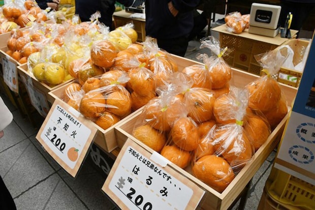 まつやま農林水産まつり