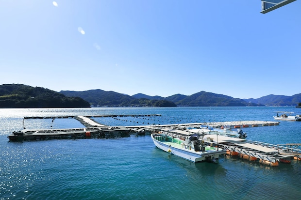 海と山の栄養が混ざり合い、牡蠣にとって理想的な「豊かな海」を生み出しています。