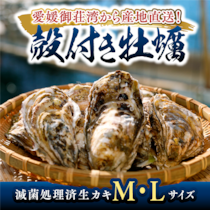【2026年最新】活かき通販ならこれ！愛媛・愛南町「上甲商会」の牡蠣が選ばれる理由