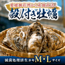 【2026年最新】活かき通販ならこれ！愛媛・愛南町「上甲商会」の牡蠣が選ばれる理由