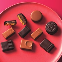 【週末イベントまとめ：2/13（金）～2/15（日）】冬の愛媛で何する？コンサートから祭りまで楽しめる注目イベントまとめ