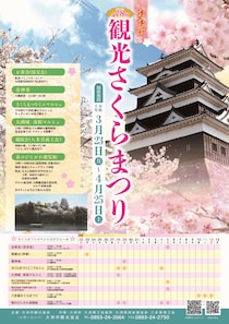 【第78回 観光さくらまつり｜愛媛のお花見2026｜愛媛/大洲市】 城山公園・冨士山公園・八多喜祇園公園の絶景桜でお花見！