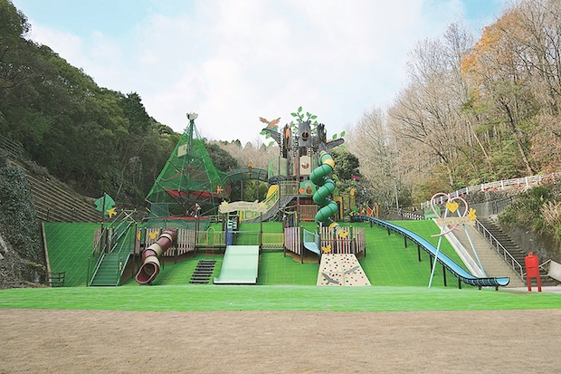 【滝の宮公園 お花見2026 愛媛/新居浜市】 ソメイヨシノ・陽光・山桜が咲き誇る桜の名所