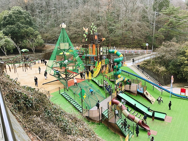 【滝の宮公園 お花見2026 愛媛/新居浜市】 ソメイヨシノ・陽光・山桜が咲き誇る桜の名所