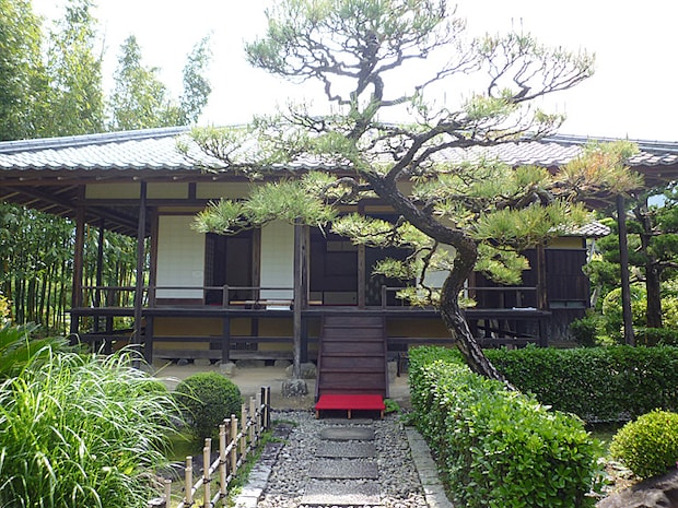 名勝 天赦園 藤の花 春の呈茶会