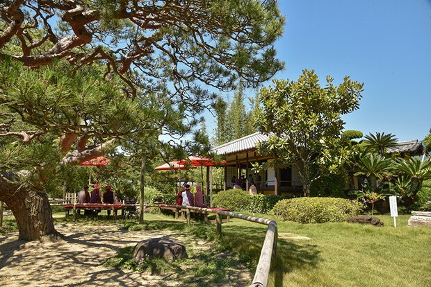 名勝 天赦園 藤の花 春の呈茶会