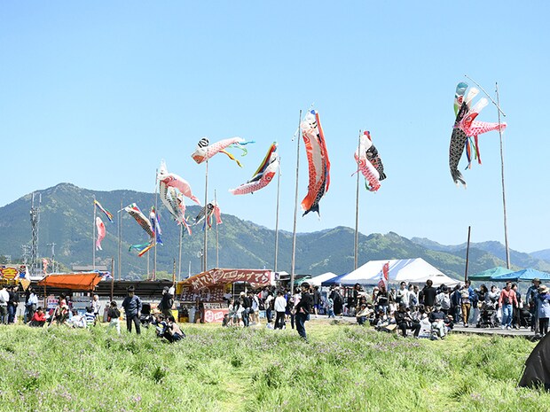 第50回宇和れんげまつり