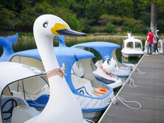 あいあいフェスティバル2026