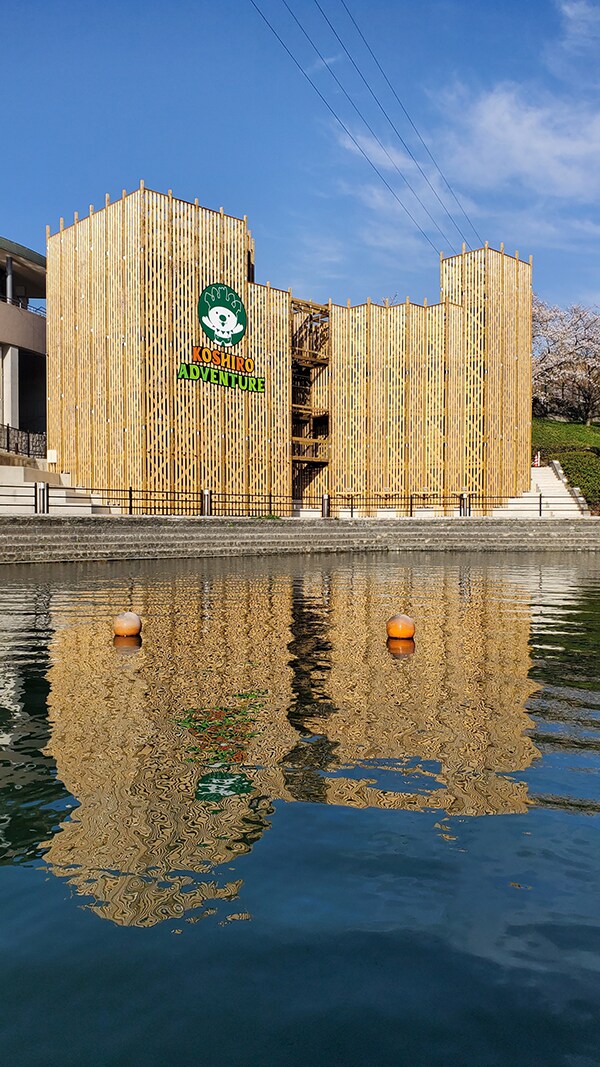 あいあいフェスティバル2026