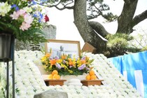 【義農祭】 先人の思いを受け継ぐ春の伝統祭りで特別な一日を【愛媛/松前町】