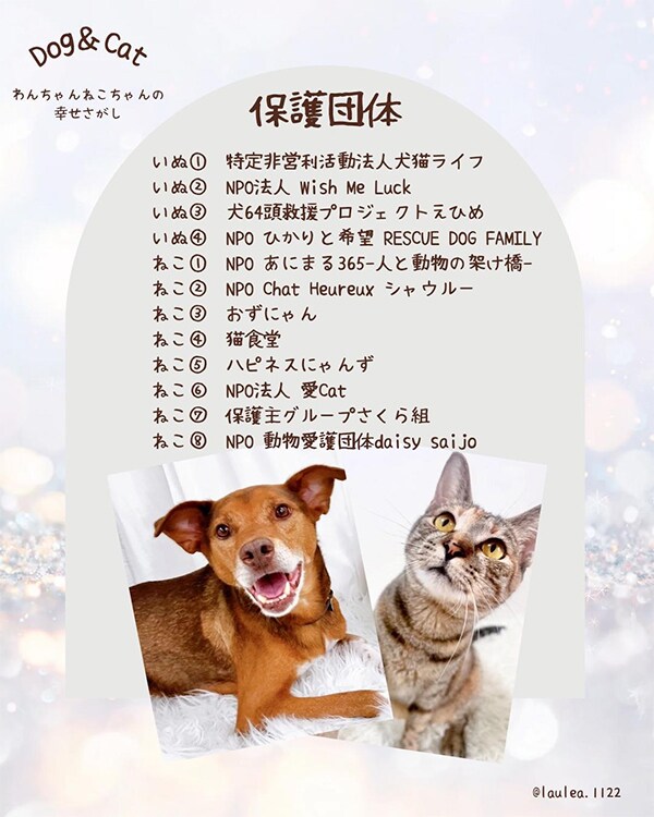 第4回 保護いぬ保護ねこ大譲渡会