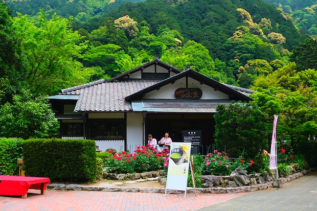 しゃく薬まつり