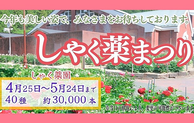 しゃく薬まつり