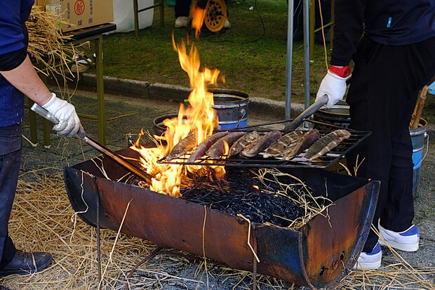 しゃく薬まつり