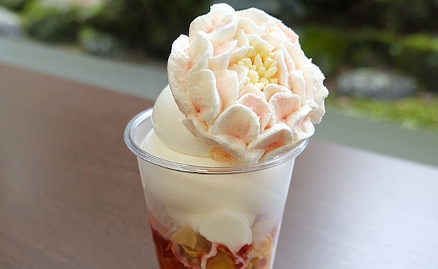 しゃく薬まつり