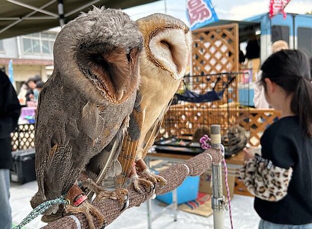 第12回ワクリエ新居浜わくわくマルシェ