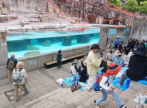 第39回 とべ動物園写生大会