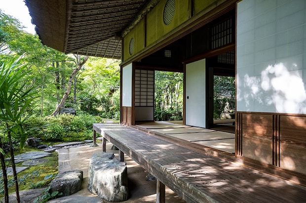 冨士山つつじまつり