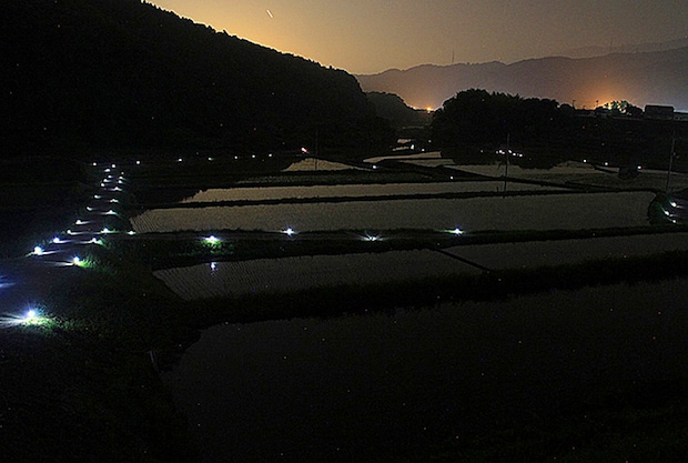 雨滝ほたるの里 鑑賞会