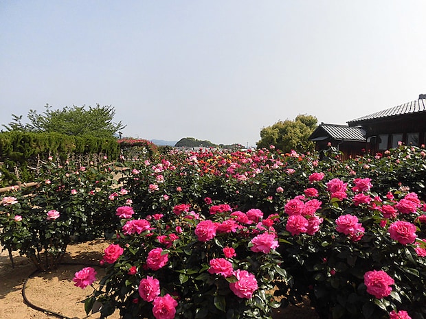 かわら館フェスタ2026