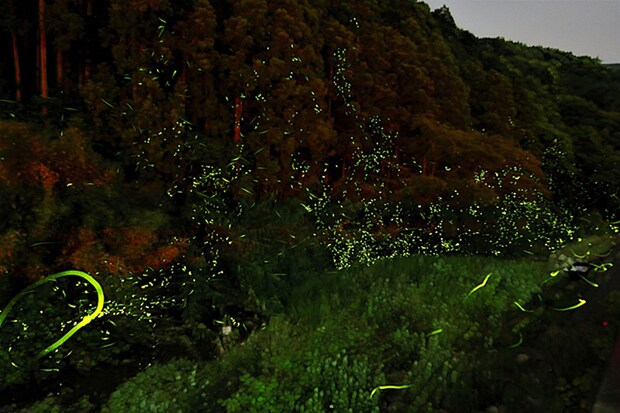 ほたるの里ふたみ ほたる祭り2026