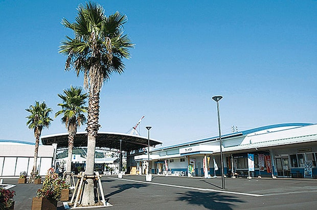 宇和島Hawaiianフェスティバル2026