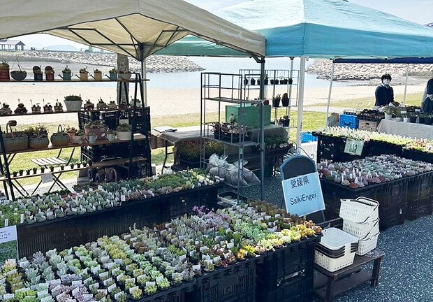 しまなみOasisフェスvol.1