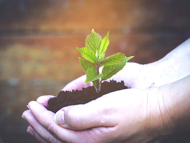 マシンガンズ滝沢と学ぶ！