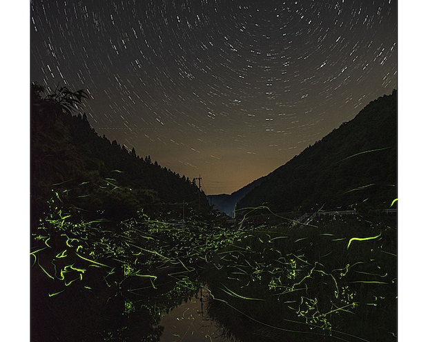 第51回柳沢ほたるまつり