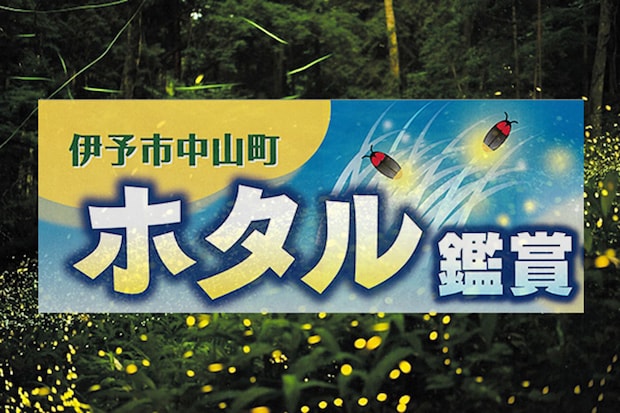 伊予市中山町ホタル観賞