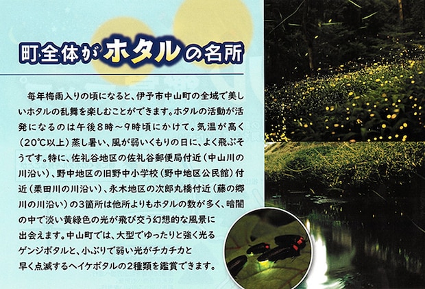 伊予市中山町ホタル観賞