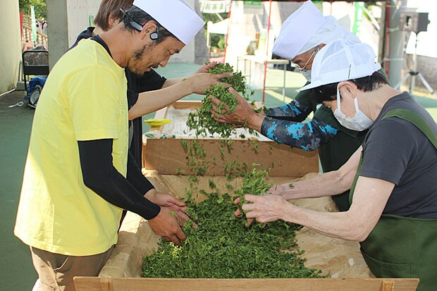 第25回霧の森お茶まつり