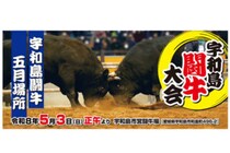 【定期闘牛大会 五月場所】宇和島市営闘牛場で観戦！ 向暑の熱闘、菖蒲の季節に真剣勝負（愛媛/宇和島市）