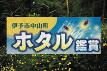 【伊予市中山町ホタル観賞】息をのむ幻想の灯りに包まれる初夏の夜（愛媛/伊予市）