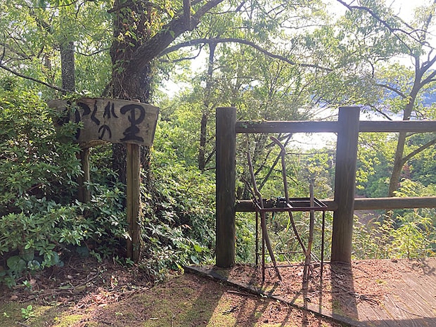 かくれの里 アジサイ情報