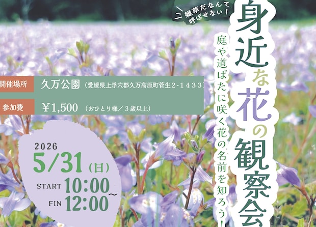 【身近な花の観察会】 久万公園で身近な花の名前を知ろう 【愛媛/久万高原町】 