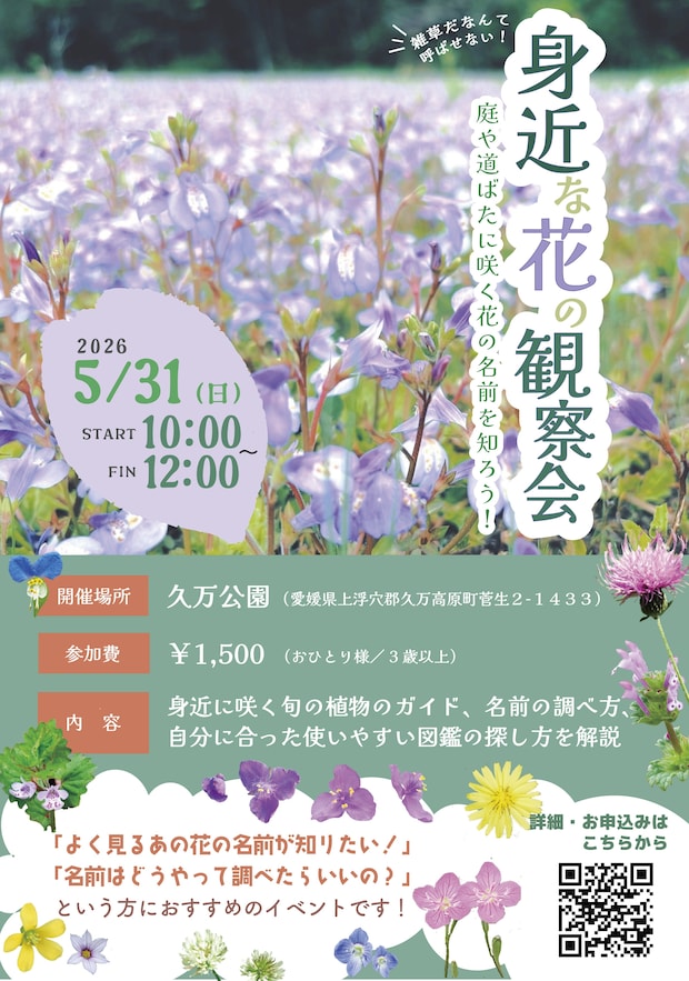 【身近な花の観察会】 久万公園で身近な花の名前を知ろう 【愛媛/久万高原町】 