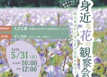 【身近な花の観察会】久万公園で身近な花の名前を知ろう（愛媛/久万高原町）
