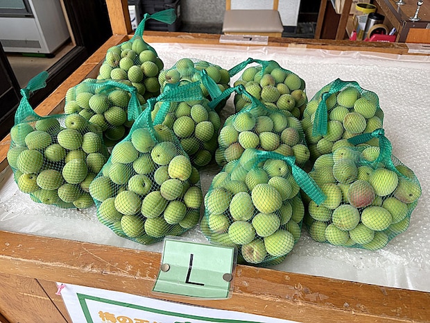 南楽園花菖蒲まつり