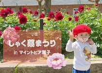 マイントピア別子で「しゃく薬まつり」を満喫してきました！（愛媛/新居浜市・おでかけレポ）
