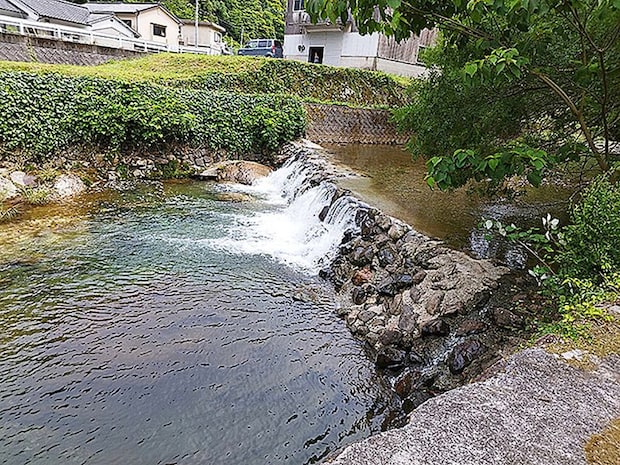 坪内家流しそうめん2026