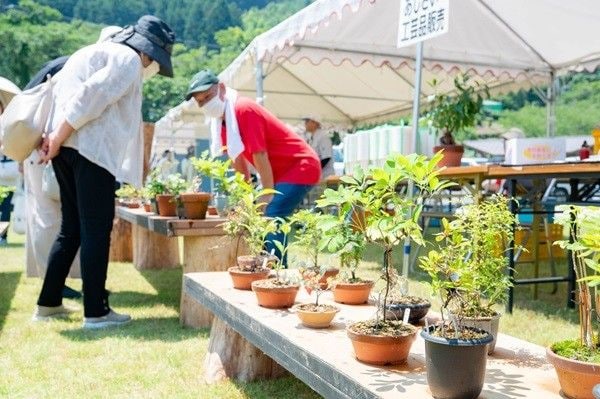 【第26回嶺南あじさい鑑賞会】 下長瀬あじさい公園で初夏の絶景と多彩な催しを楽しもう 【愛媛/四国中央市】