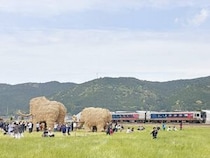 子どもたちと電車で行く！「宇和れんげまつり」（愛媛/西予市・おでかけレポ）